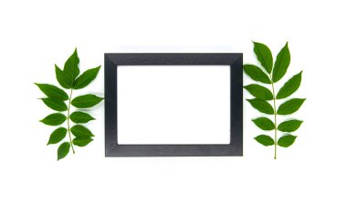 frame of green leaves and flowers on white background. place for text.