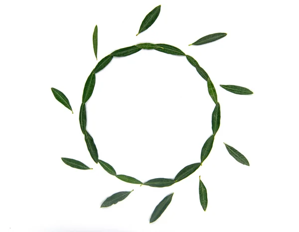 Watercolor Wreath Green Leaves Branches Eucalyptus — Zdjęcie stockowe