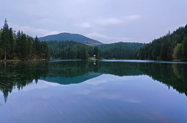 Красивый пейзаж в горном озере Синевир . — стоковое фото