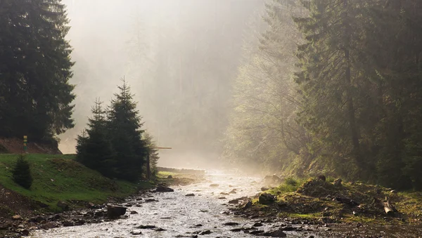 Rano promień światła na rzece. Panoramy — Zdjęcie stockowe