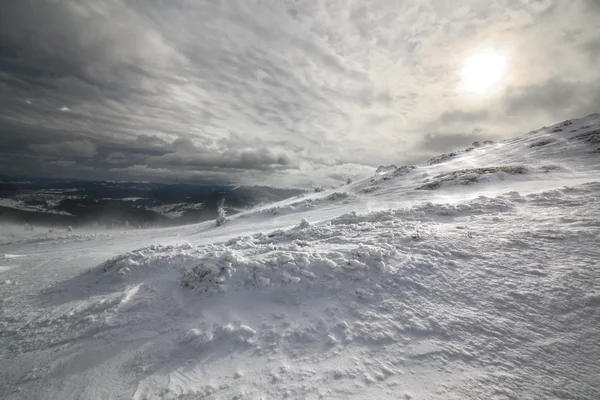 Gölge güneş. Karpat, Ukrayna. — Stok fotoğraf