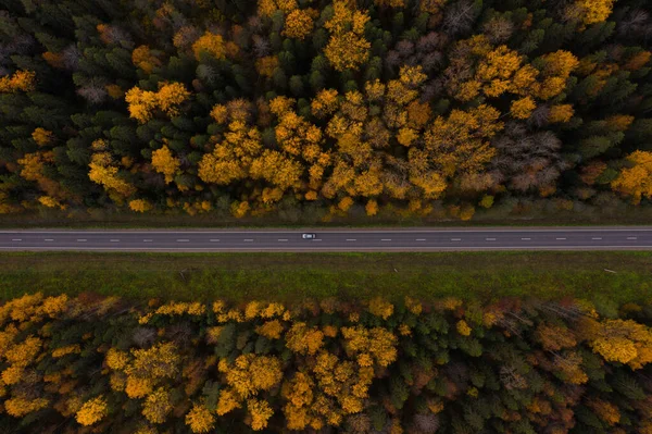 Estrada através da floresta de outono com folhagem amarela — Fotografia de Stock