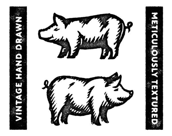 猪雕刻复古插图 手绘猪 猪的标志 猪徽章 肉店肉店屠夫的墙面装饰艺术 古猪打印 有机纹理老化的外观和感觉 — 图库矢量图片