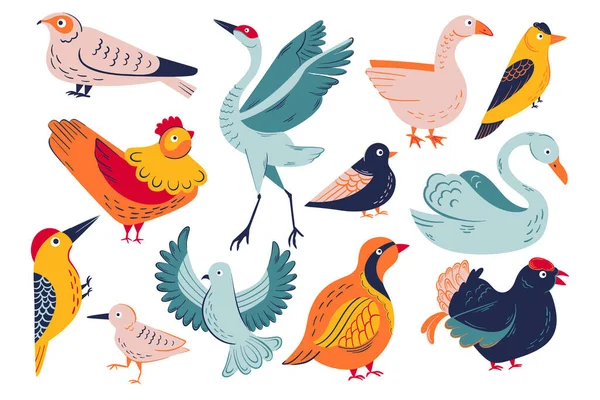 Juego Vectores Aves Brillantes Ilustraciones Aves Navideñas Gran Conjunto Pájaros — Vector de stock