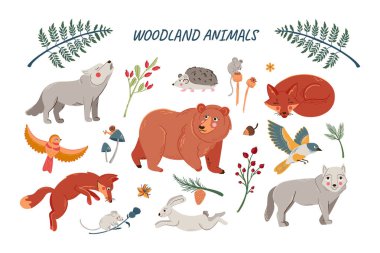Vector set of cute woodland animals for baby shower and kids design. Collection of forest animals - bear, fox, wolf, rabbit and birds isolated on white