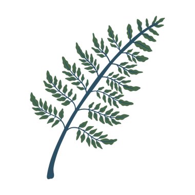 Fern leaf vector illustration. Green leaf forest design element on white