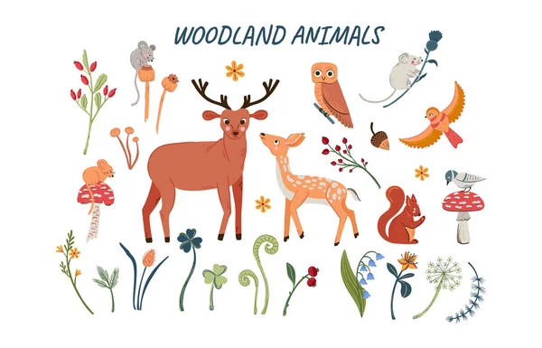 Wooden Flora Fauna Collection Big Set Cute Forest Animals Nature — 图库矢量图片