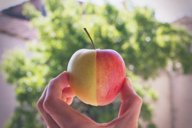 Bir elmanın yarısı kırmızı, yarısı beyaz. .