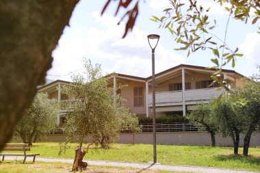 Zeytin ağaçlarının yanına yapılmış yeni evler. .