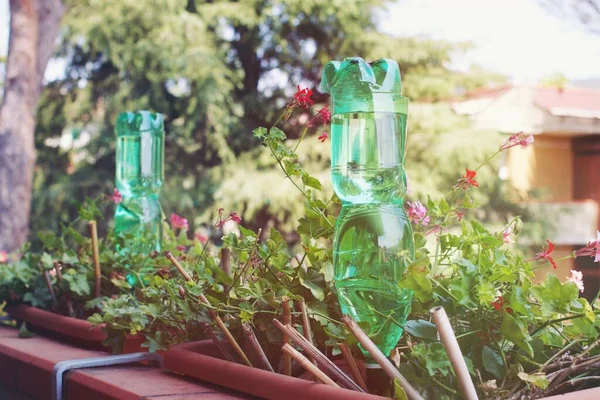 Botol Plastik Untuk Menyiram Bunga Balkon Sebagai Sistem Irigasi — Stok Foto