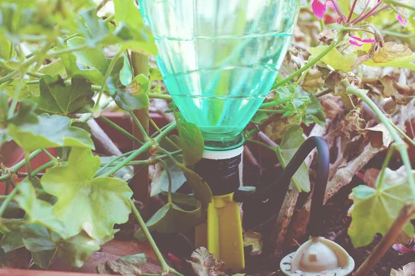 Botol Plastik Untuk Menyiram Bunga Balkon Sebagai Sistem Irigasi — Stok Foto