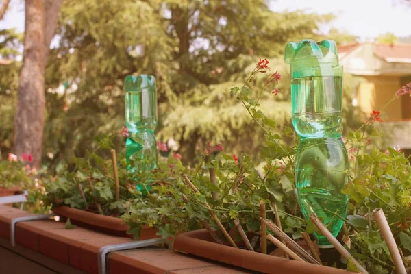 Botol Plastik Untuk Menyiram Bunga Balkon Sebagai Sistem Irigasi — Stok Foto