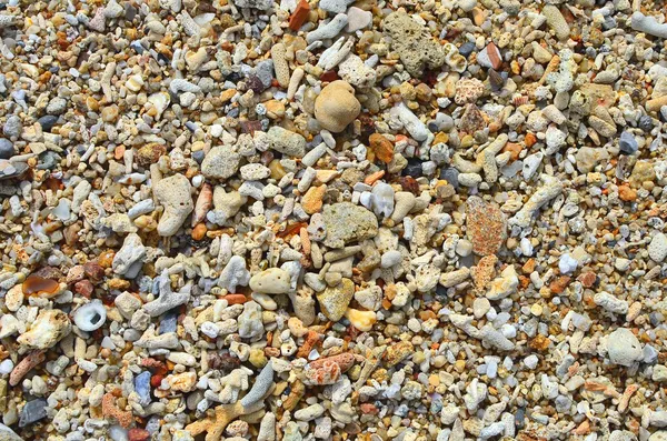 Kleine droge koraal achtergrond op het strand — Stockfoto