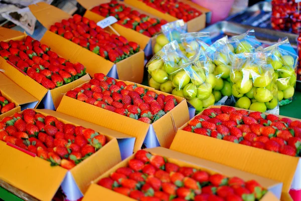 Čerstvé jahody v poli — Stock fotografie