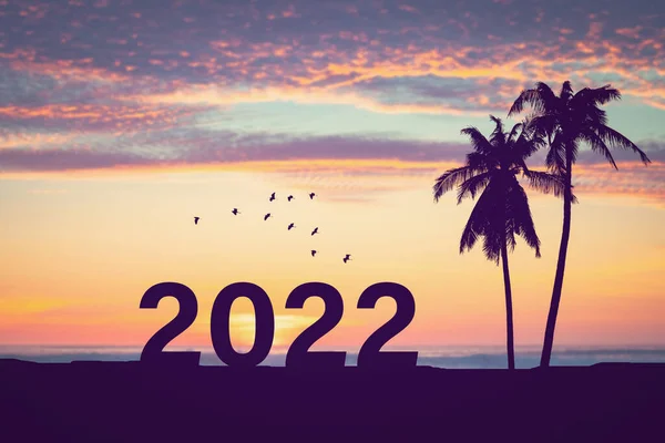 2022 Número Con Palmera Aves Volando Atardecer Tropical Playa Fondo — Foto de Stock