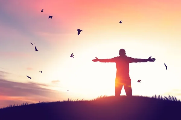 Чоловік Піднімається Руками Птахами Літають Небі Заходу Сонця Природному Полі — стокове фото
