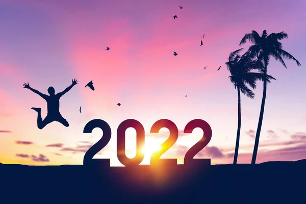シルエットの男は2022年のような数でジャンプし ヤシの木の鳥は日没の空の抽象的な背景に熱帯のビーチで飛んでいます お正月や休日のお祝いのコンセプト ヴィンテージトーンフィルターカラースタイル — ストック写真