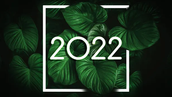 2022 Nature Green Leaves Abstract Background Happy New Year Holiday — Stock Photo, Image