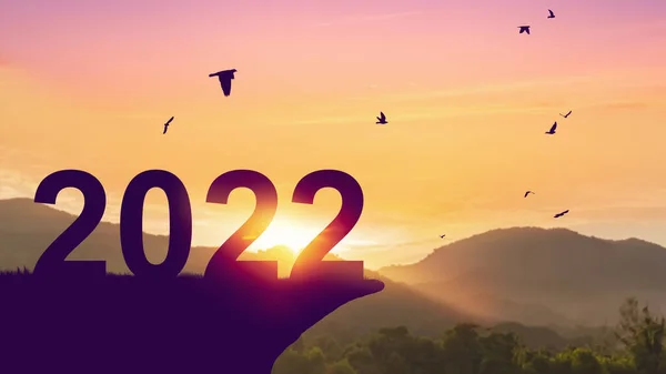 2022 Sommet Montagne Herbe Avec Des Oiseaux Volant Sur Coucher — Photo