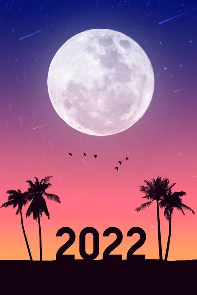 2022 Nummer Palme Mit Vögeln Fliegen Und Vollmondnacht Tropischen Strand — Stockfoto
