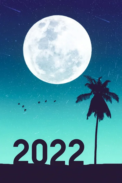 2022 Liczba Palma Ptakami Latającymi Pełnia Księżyca Noc Tropikalnej Plaży — Zdjęcie stockowe