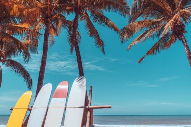 Sahilde mavi gökyüzü olan sörf tahtası ve palmiye ağacı. Seyahat macera sporu ve yaz tatili konsepti. Klasik ton filtre efekti renk biçimi.