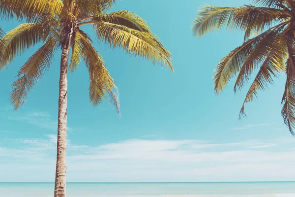 Palme Tropischen Strand Mit Blauem Himmel Und Weißen Wolken Abstrakten — Stockfoto