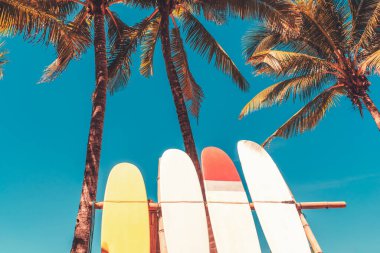 Sahilde mavi gökyüzü olan sörf tahtası ve palmiye ağacı. Seyahat macera sporu ve yaz tatili konsepti. Klasik ton filtre efekti renk biçimi.