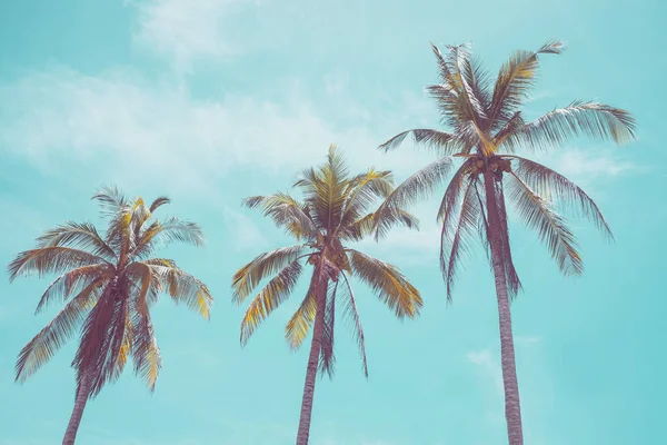 Tropikalna Palma Błękitnym Niebem Chmurą Abstrakcyjne Tło Wakacje Letnie Natura — Zdjęcie stockowe
