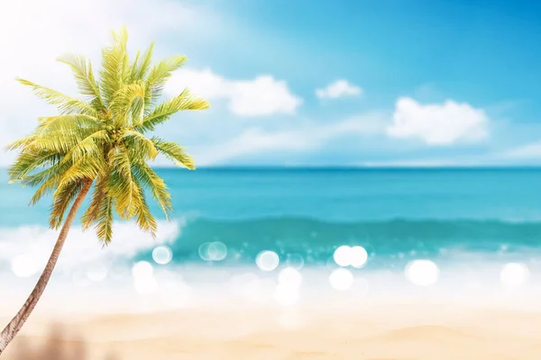 在热带海滩上 淡淡的阳光背景模糊了美丽的自然绿色棕榈叶 复制暑假空间和商务旅行的概念 复古色调过滤效果色彩风格 — 图库照片