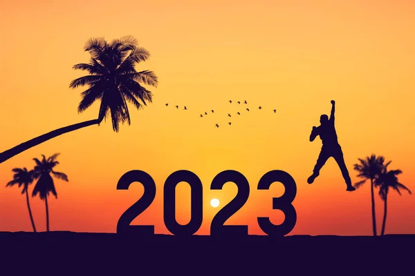 Silhouet Man Springen Met Nummer 2023 Palmbomen Vogels Vliegen Tropische — Stockfoto