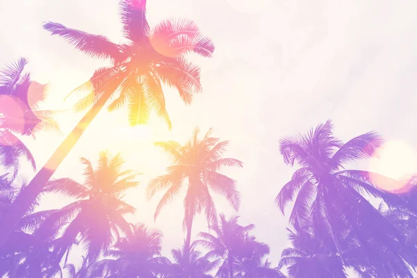 Tropische Palmboom Met Zonlicht Zonsondergang Hemel Bewolking Abstracte Achtergrond Zomervakantie — Stockfoto