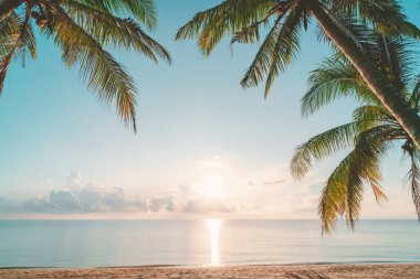 Günbatımında tropikal sahilde palmiye ağacı soyut arka planda. Yaz tatili ve doğa yolculuğu macera konsepti. Klasik ton filtre efekti renk biçimi.