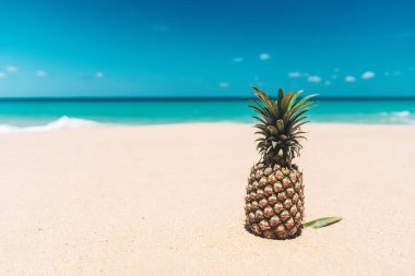 Tropik plaj arka planında ananas. Yaz tatili ve sağlıklı gıda konsepti.