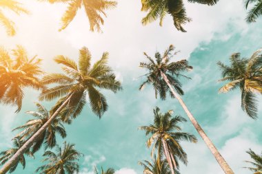 Günbatımında güneş ışığı olan tropik palmiye ağacı ve soyut bir arka plan bulutu. Yaz tatili ve doğa yolculuğu macera konsepti. Klasik ton filtre efekti renk biçimi.