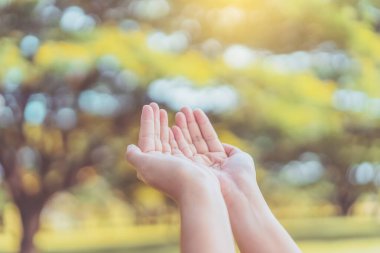 Kadın gün batımına kadar elini açık tut gökyüzü ve yeşil yaprak bokeh güneş ışığı soyut arkaplan. Klasik ton filtre efekti renk biçimi.