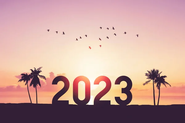 Liczba 2023 Palmą Ptakami Latającymi Tropikalnym Tle Zachodzącego Słońca Szczęśliwego — Zdjęcie stockowe