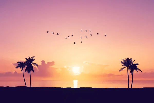 Silhueta Palmeira Praia Tropical Com Pássaros Voando Céu Pôr Sol — Fotografia de Stock