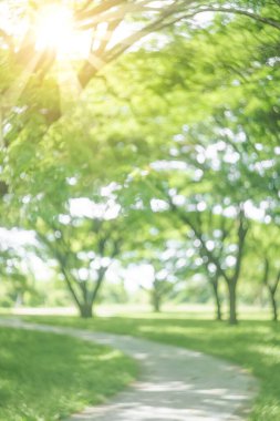 Bokeh güneş ışığı soyut arkaplanı olan bulanık doğa yeşil parkı. Seyahat alanı doğa macerası ve çevre ekolojisi kavramının kopyası. Klasik ton filtre efekti renk biçimi.