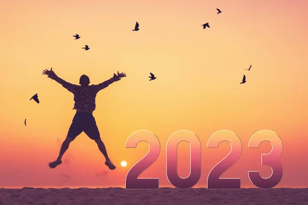 Silhouet Man Springen Vogels Vliegen Met Nummer Als 2023 Tropische — Stockfoto