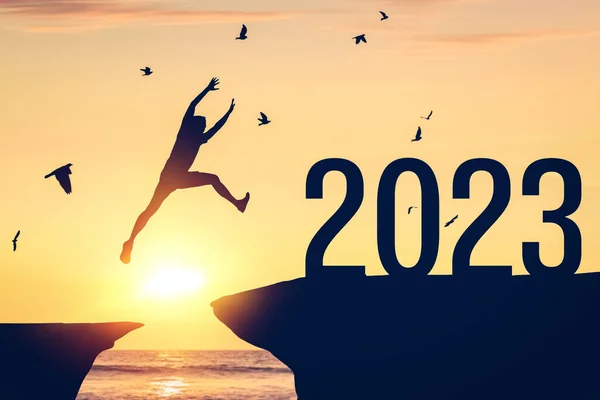 Silhouet Man Springen Tussen Klif Naar 2023 Vogels Vliegen Top — Stockfoto