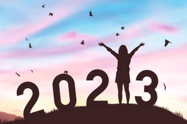 Kadın günbatımı gökyüzünde dağın tepesinde uçan kuşlarla el kaldırıyor ve 2023 numara soyut arka plan. Mutlu yıllar ve tatil konsepti. Klasik ton filtre efekti renk biçimi.
