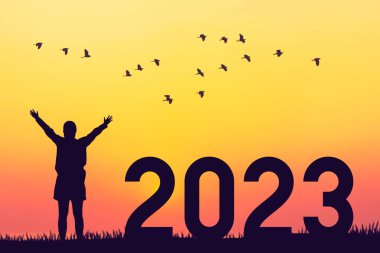 Kadın günbatımı gökyüzünde dağın tepesinde uçan kuşlarla el kaldırıyor ve 2023 numara soyut arka plan. Mutlu yıllar ve tatil konsepti. Klasik ton filtre efekti renk biçimi.