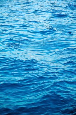 mavi deniz suyu ile dalga