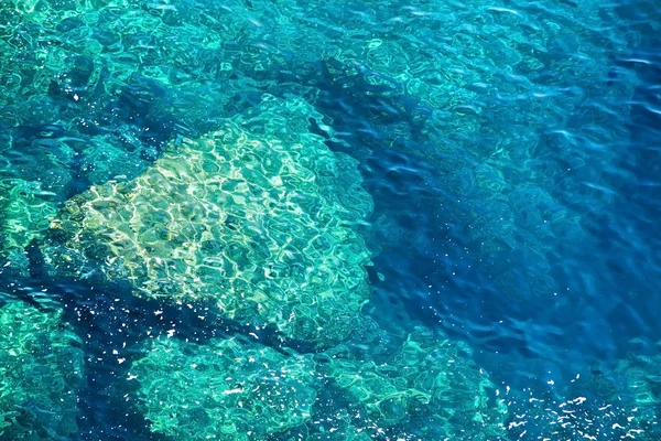 Côte rocheuse avec de l'eau claire bleue transparente. Portofino Italie — Photo