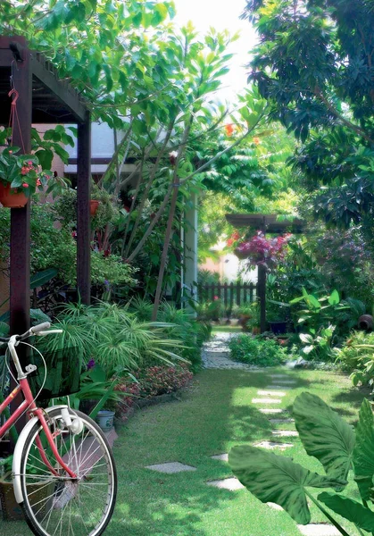 Tuin Met Mooie Plant Achtertuin Van Een Particulier Huis — Stockfoto