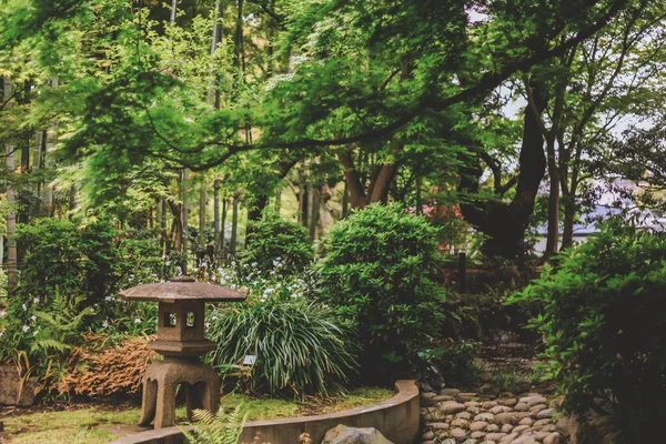 Japan Kersenbloesem Seizoen — Stockfoto