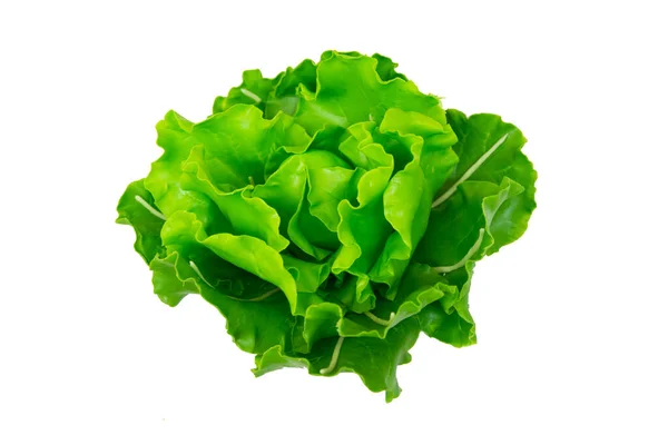 Lettuce Model Japanese Clay White Background — Fotografia de Stock