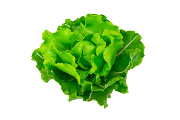 Lettuce Model Japanese Clay White Background — Foto de Stock