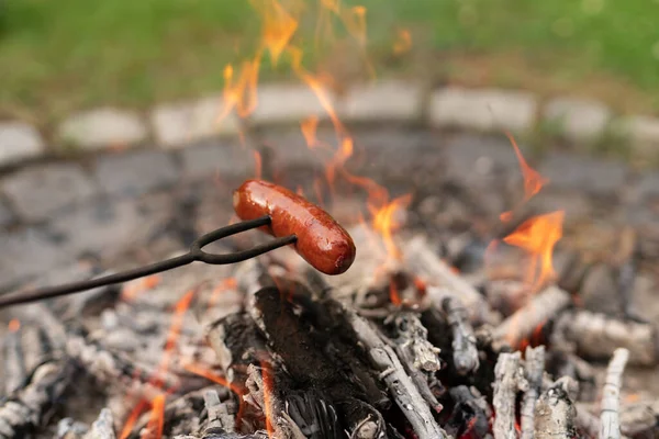 Bahçedeki bir kamp ateşinde ızgara sosis. Ahşap dalda şenlik ateşi.